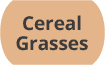 Cereal, Grasses